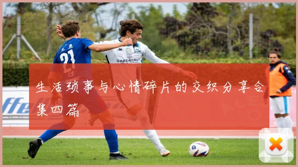 生活琐事与心情碎片的交织分享合集四篇