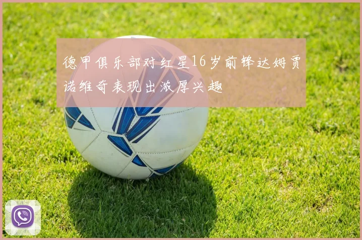 德甲俱乐部对红星16岁前锋达姆贾诺维奇表现出浓厚兴趣